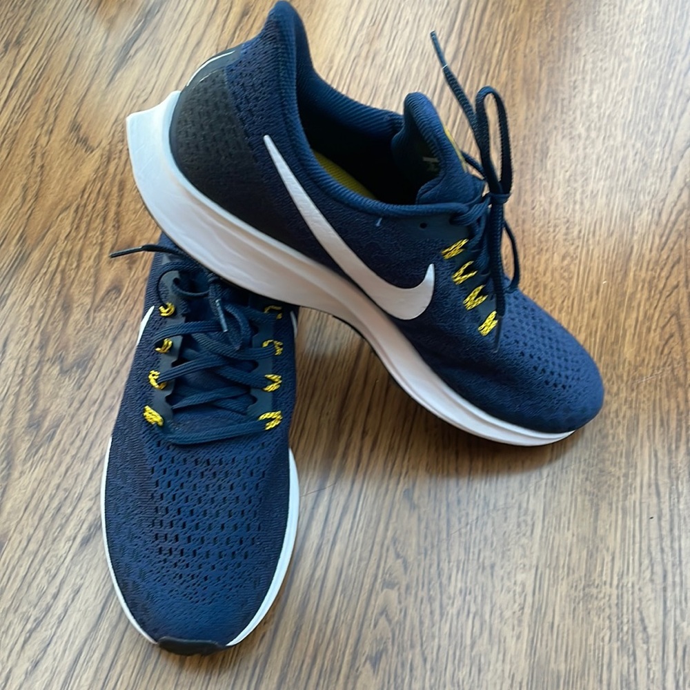 Brand new Nike Zoom Pegasus 35